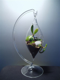stojánek a aerárko Slza